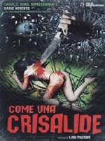 Watch Symphony in Blood Red 123movies