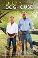 Watch Life in the Doghouse 123movies