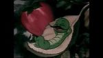 Watch The Wacky Worm (Short 1941) 123movies