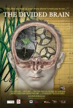 Watch The Divided Brain 123movies