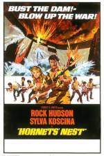 Watch Hornets' Nest 123movies
