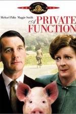 Watch Svinaktiga affärer 123movies