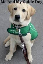Watch Me And My Guide Dog 123movies
