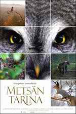 Watch Tale of a Forest 123movies