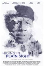 Watch Hiding in Plain Sight 123movies
