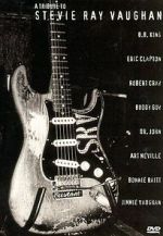 Watch A Tribute to Stevie Ray Vaughan 123movies