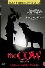 Watch Gaav 123movies