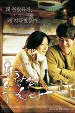 Watch Lost in Love 123movies