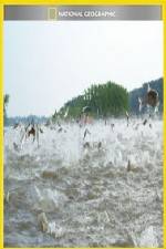 Watch National Geographic Hooked Carp Invasion 123movies