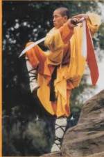 Watch National Geographic Kung Fu Secrets 123movies