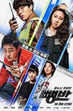 Watch Hit-and-Run Squad 123movies