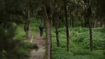 Watch My Tree 123movies