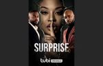 Watch Surprise 123movies