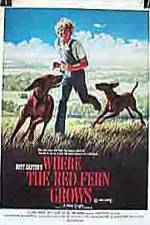 Watch Where the Red Fern Grows 123movies