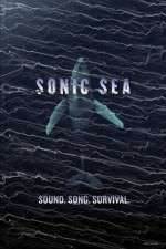 Watch Sonic Sea 123movies