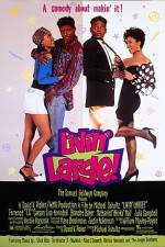 Watch Livin' Large 123movies