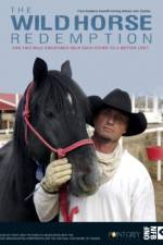 Watch The Wild Horse Redemption 123movies
