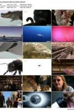 Watch History Channel Evolve: Sex 123movies