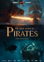 Watch The True Story of Pirates 123movies