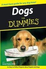 Watch Dogs for Dummies 123movies