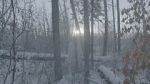 Watch Once There Was a Winter 123movies