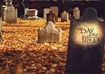 Watch The Day They Died 123movies