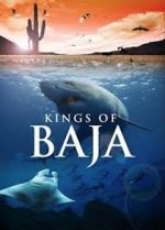Watch Kings of Baja 123movies