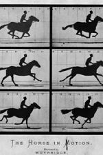 Watch Sallie Gardner at a Gallop 123movies