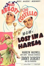 Watch Lost in a Harem 123movies