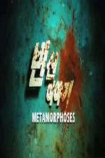 Watch Metamorphoses 123movies