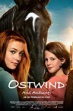 Watch Windstorm 4: Ari\'s Arrival 123movies