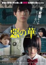 Watch The Flowers of Evil 123movies
