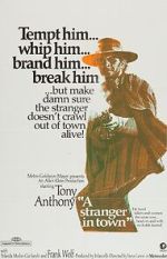 Watch A Stranger in Town 123movies
