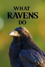 Watch What Ravens Do 123movies
