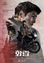 Watch Hopeless 123movies