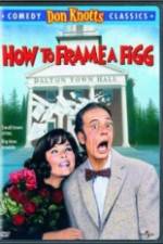 Watch How to Frame a Figg 123movies