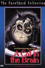 Watch Un gatto nel cervello 123movies