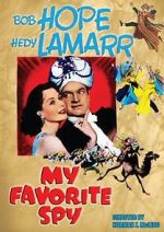 Watch My Favorite Spy 123movies