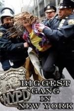 Watch NYPD: Biggest Gang in New York? 123movies