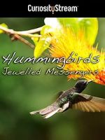 Watch Hummingbirds Jewelled Messengers 123movies