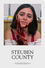Watch Steuben County 123movies