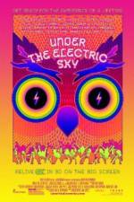 Watch EDC 2013: Under the Electric Sky 123movies