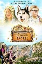 Watch Timber the Treasure Dog 123movies