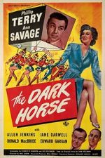 Watch The Dark Horse 123movies