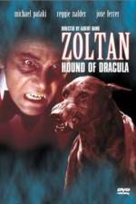 Watch Dracula's Dog 123movies
