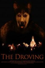 Watch The Droving 123movies
