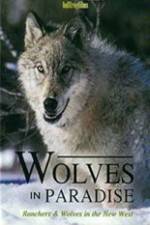 Watch Wolves in Paradise 123movies