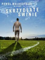 Watch Flying Pigs 123movies
