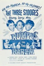 Watch Rumpus in the Harem 123movies