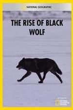 Watch The Rise of Black Wolf 123movies